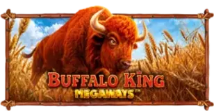 ภาพเกม Buffalo King Megaways ที่ ปังจัด99 รวบรวมไว้